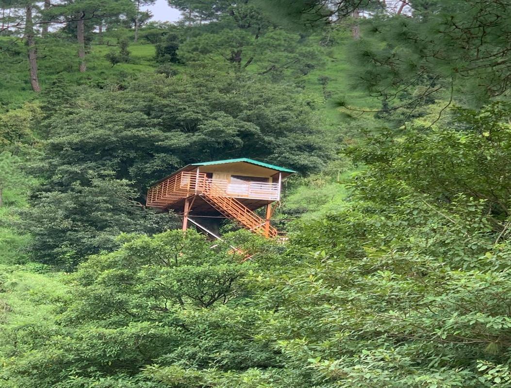 The Cocoon Camps & Nature Resorts Nainital Dış mekan fotoğraf